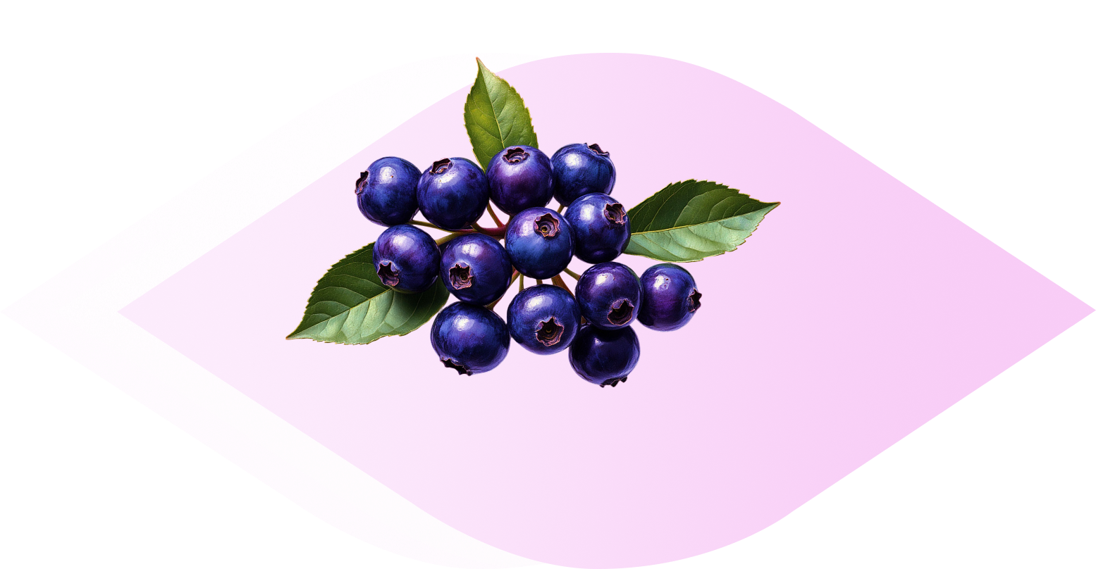 MaquiBright<sup>®</sup>