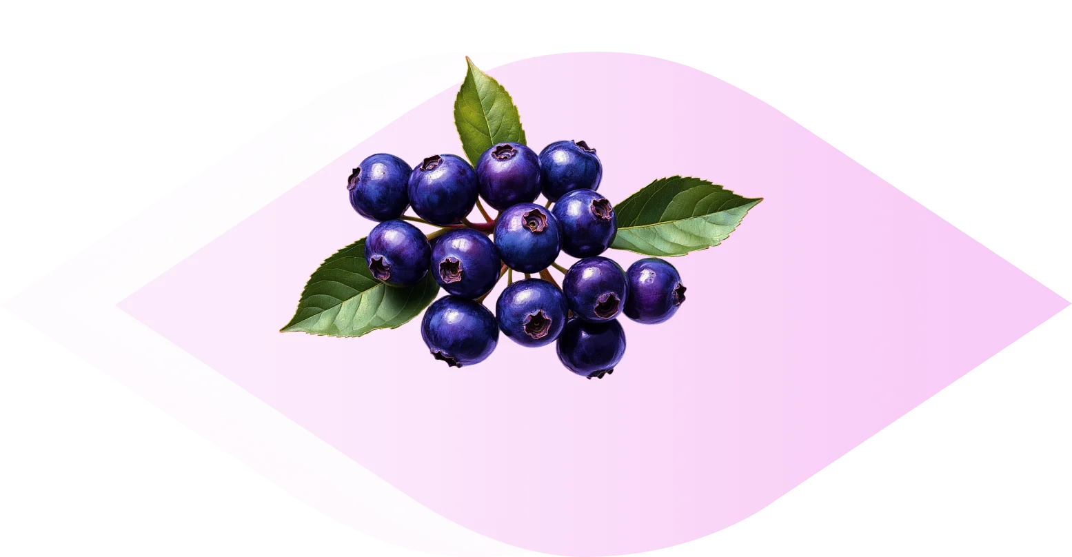 MaquiBright<sup>®</sup>